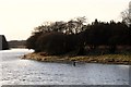 Angler on the Dee