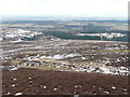 Heathery moorland