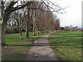 Tree lined path -  Southwick