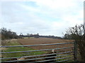 Field near Westerham Hill