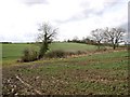 View WSW from footpath to Ettington