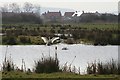 Conservation Ponds Spreading their Wings