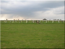 TA0239 : Beverley Racecourse by JThomas