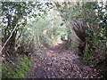 Path approaching junction of 5 lanes, Fox Hill