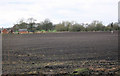 Across the field from Davenport Lane