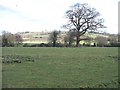 Warwickshire farmland