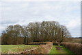 Bridleway on Kenley Common, Surrey