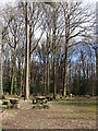 Picnic area, Manor Wood, The Narth