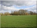 View east from footpath to Whatcote