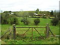 Tanderagee Townland