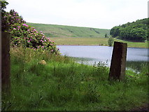 SE0230 : Bench Marked Gatepost, Castle Carr by Mark Anderson