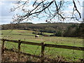 Field, with resident, near Trellech