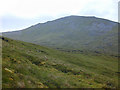 NH1772 : Western slopes of Meall a' Chrasgaidh by Nigel Brown