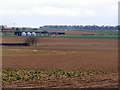 Farmland near Bramham