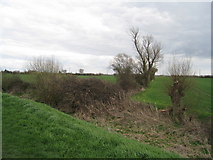 TL5064 : Field boundary - Northfields Farm by Mr Ignavy