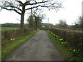 Access road to Tiffenden Manor Farm