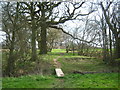 Footbridge on a footpath to Woodchurch