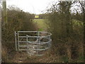 Kissing Gate near Woodchurch