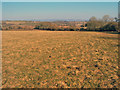 Grazing land at Yatton - 2