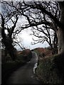 The lane to Brynllys