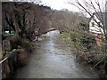 Downstream from the bridge, Dol-y-Bont