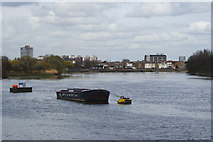 TQ2177 : River Thames at Chiswick, London by Peter Trimming