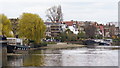 View Towards Chiswick Mall