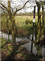 Broken footbridge near Sly Corner