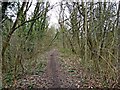 Former Bewdley to Tenbury Wells railway line