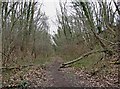 Former Bewdley to Tenbury Wells railway line near Drymill Lane