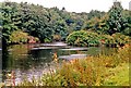 River Irwell