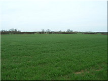 TA2035 : Farmland north of Pasture Lane near Sproatley by JThomas
