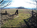 Entrance to a field on Perrystone Hill