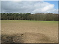 Unseen footpath to Penfold Wood and Birch Wood