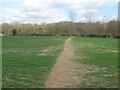 Footpath near Hatch