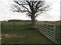 Footpath junction near Pound Wood