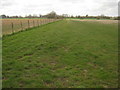 Green Track towards Shadoxhurst Road