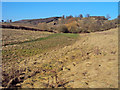 Small valley north of Crow Hill