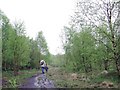 Disused Railway Line - Ellenbrook