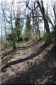 The start of the footpath at the top of Frandham Wood