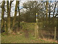 Gate on a bridleway and footpath near Beale