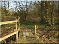 Footbridge near Great Doney Wood