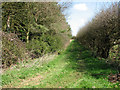TG0304 : Track skirting woodland edge by Evelyn Simak