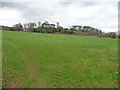 SS9815 : Mid Devon : Grassy Field by Lewis Clarke