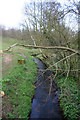 Edleston Brook, south of Ravensmoor