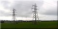 A forest of pylons