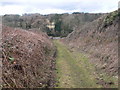 Footpath leading to Bangor Road