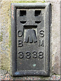 C4416 : Bench Mark 3338, Derry / Londonderry by Kenneth  Allen