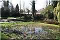 Carshalton:  A small marshy pond