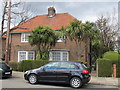 Front garden cabbage trees, West Acton